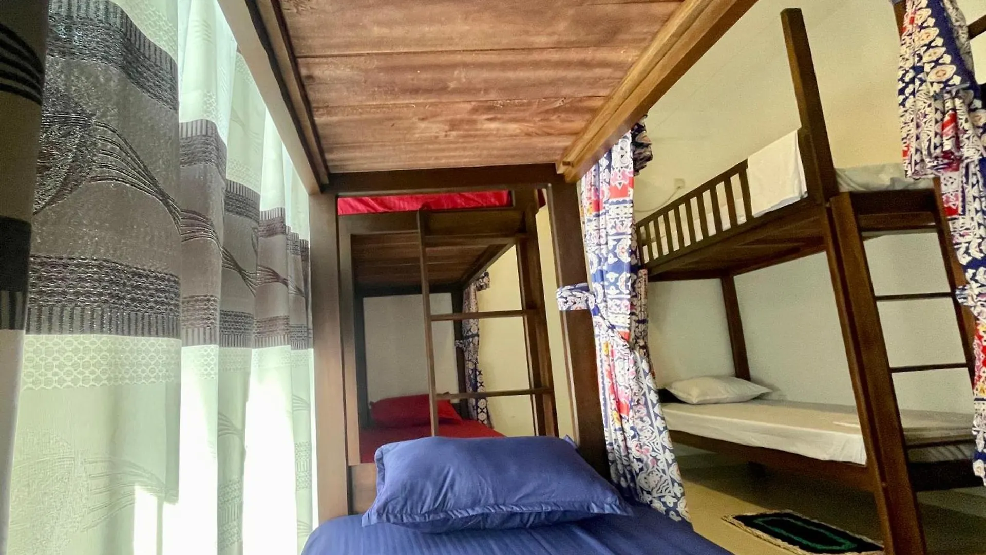 Curly Hostel 니곰보