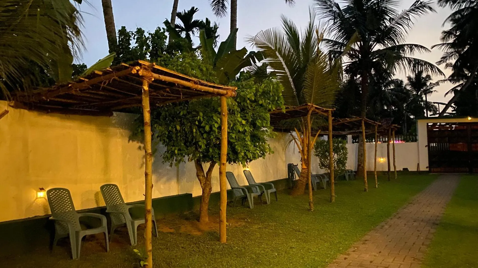 Curly Hostel Νεγκόμπο 0*,  Σρι Λάνκα