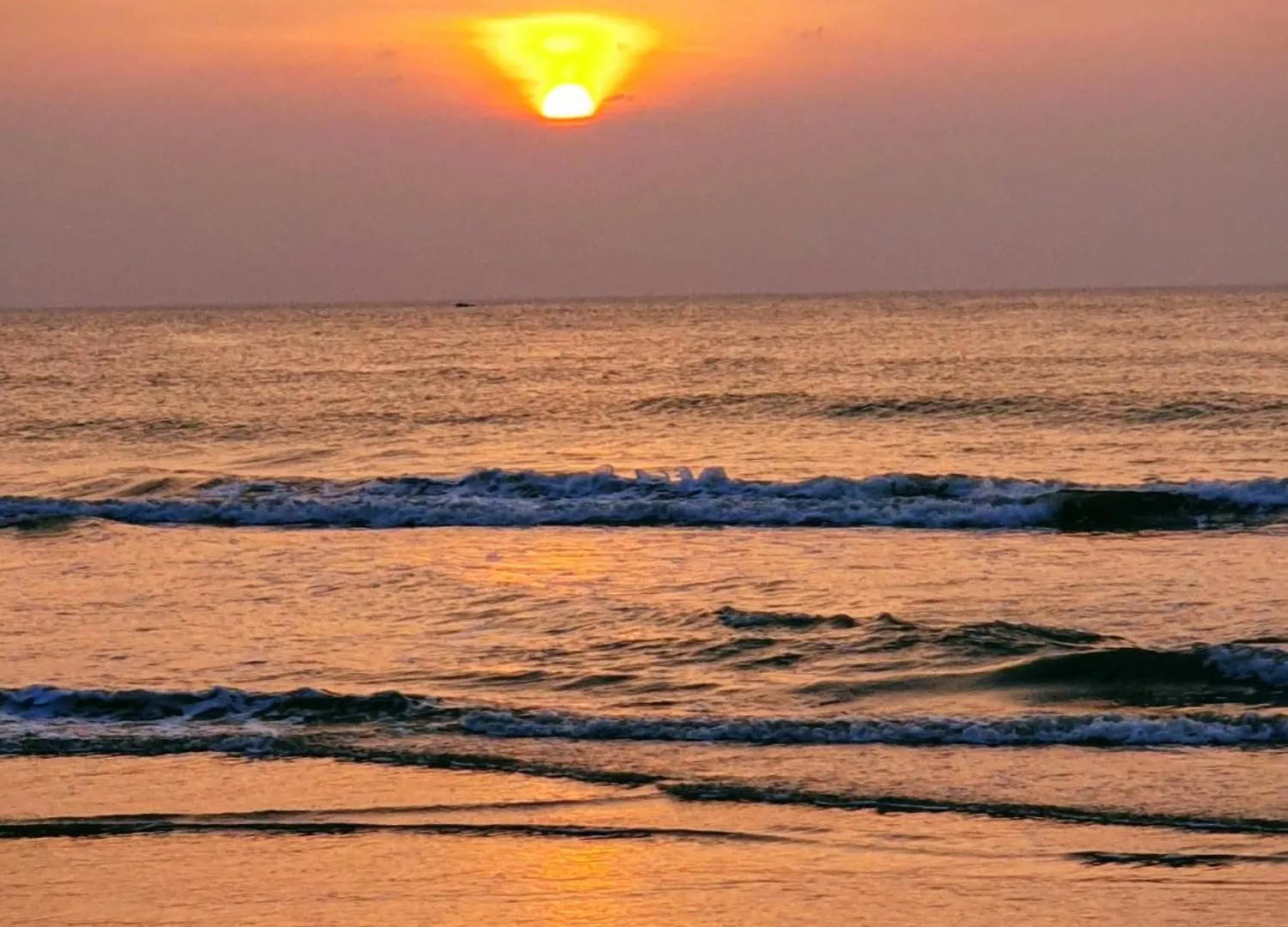 Curly Hostel Negombo