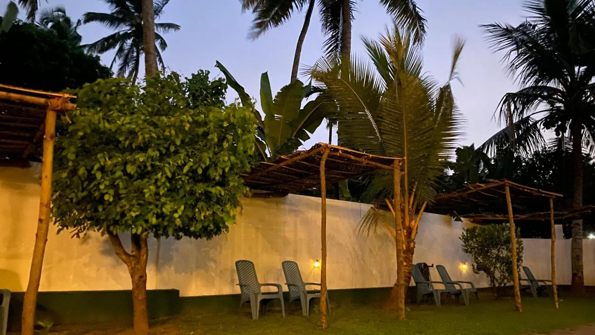 Curly Hostel Negombo Sri Lanca