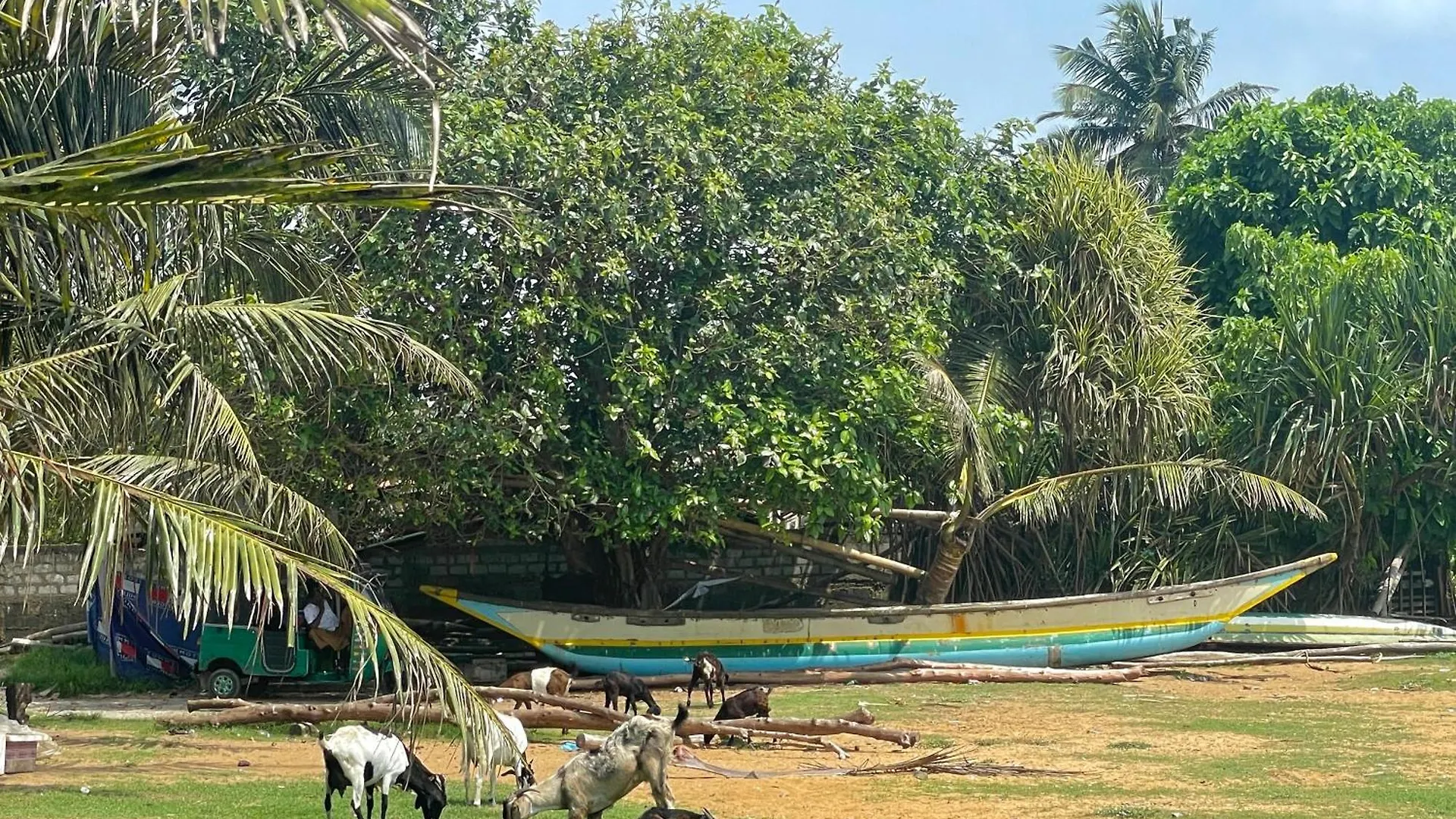Curly Hostel Negombo
